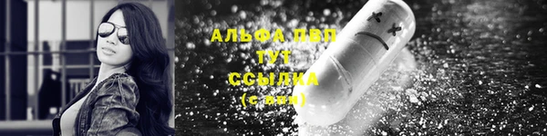 гашик Баксан