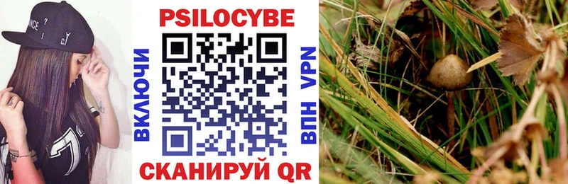 Галлюциногенные грибы мицелий  Купить где  Волоколамск 