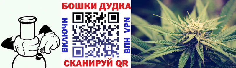 Купить где Волоколамск Бошки марихуана VHQ